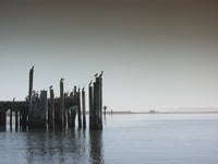 Flights & photographs